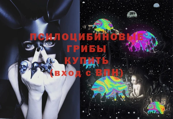 прущие грибы Алексин