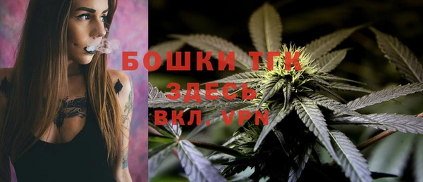 прущие грибы Алексин