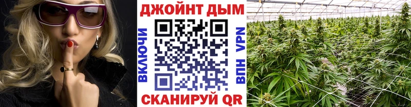 Бошки Шишки план Сосновый Бор